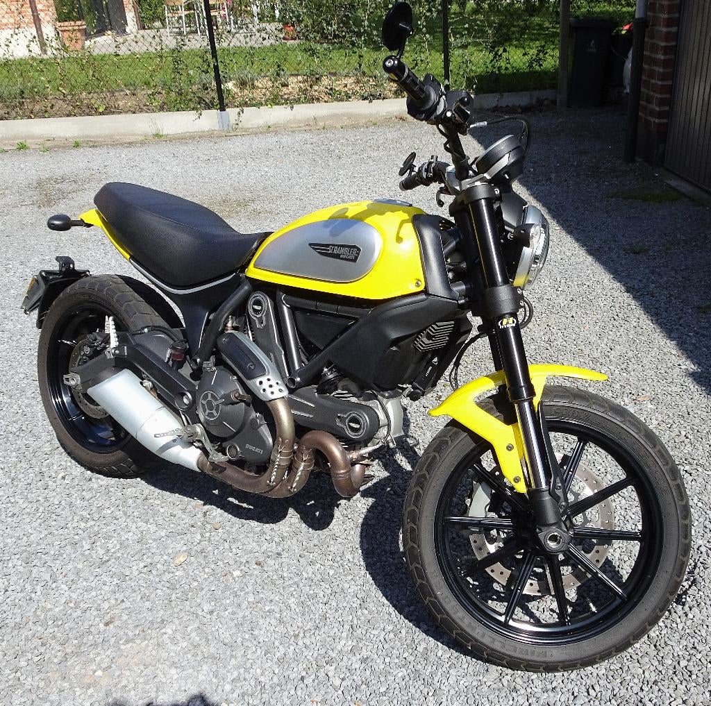 Icône Ducati Scrambler : 11 500 km !, Motos, Occasion, Plus de 35 kW, 800 cm³, 2 cylindres