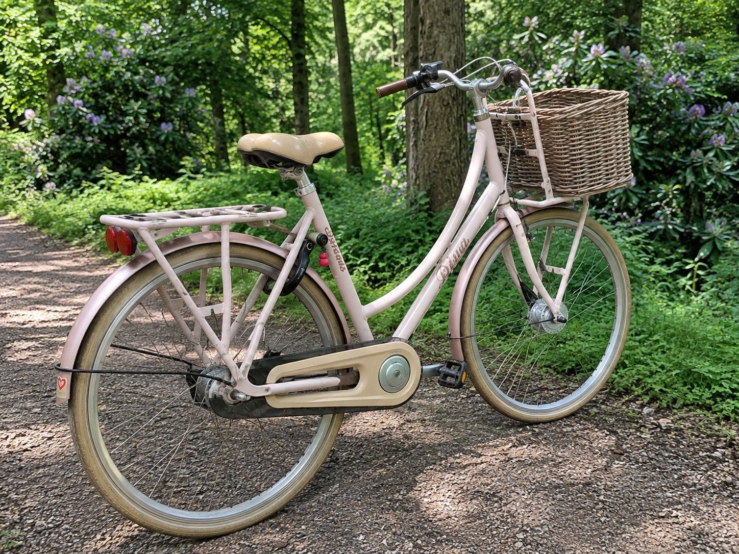 UNIEKE Batavus E-bike (Rijdt als scooter zonder trappen!), Fietsen en Brommers, Ophalen, Batavus