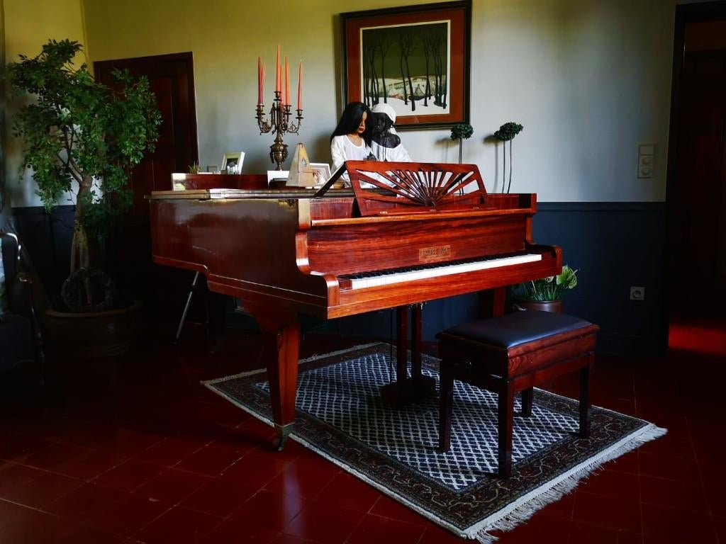 Piano – vleugelpiano, Musique & Instruments, Pianos, Enlèvement, Utilisé, Brun, Piano