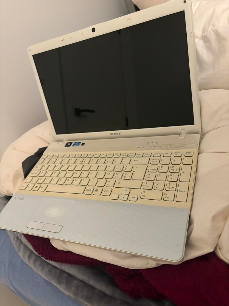 Laptop Sony, Ophalen