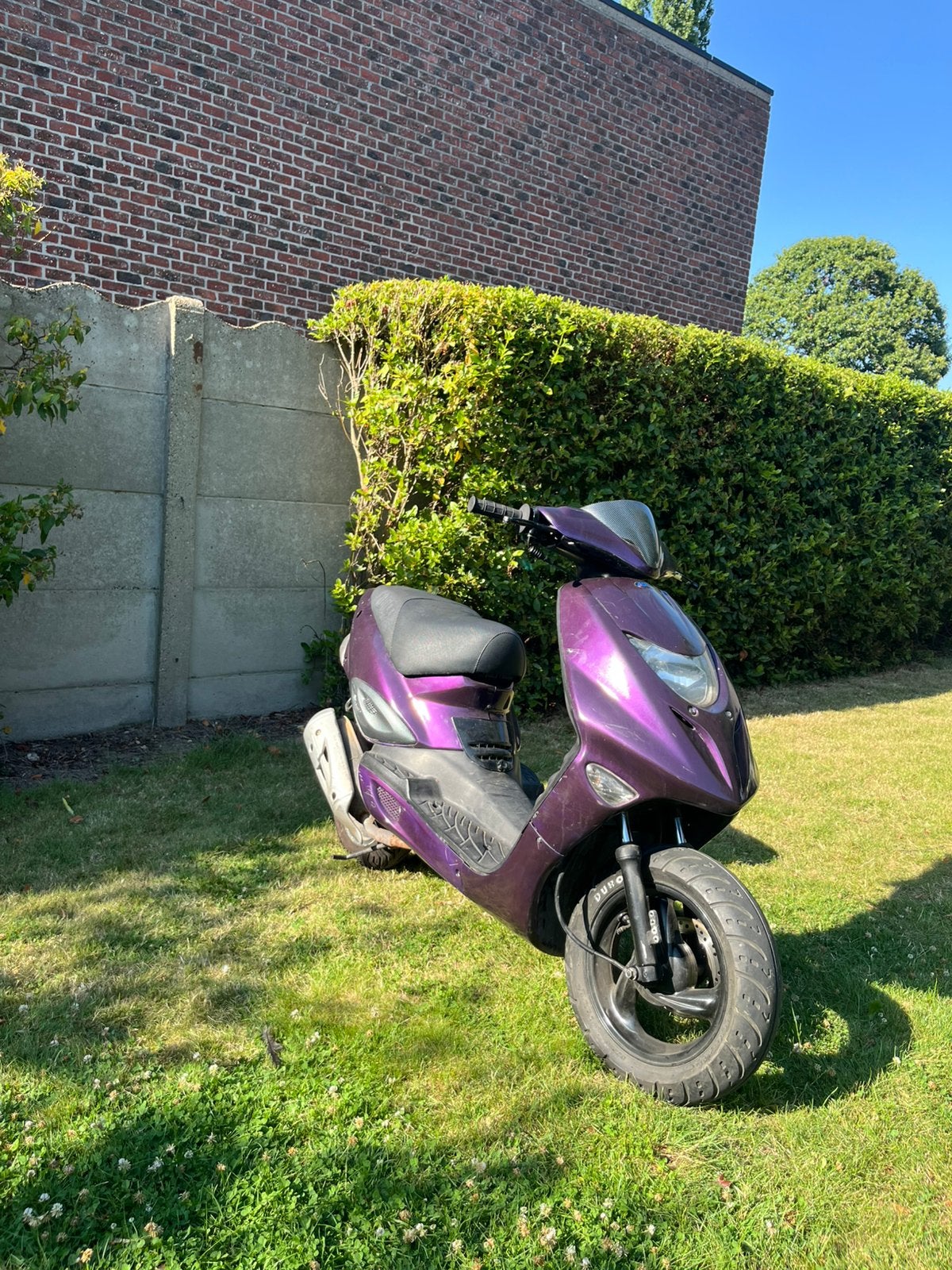 Adly noble st-50, Vélos & Vélomoteurs, Scooters | Peugeot, Autres modèles, 49 cm³, Classe B (45 km/h), Enlèvement