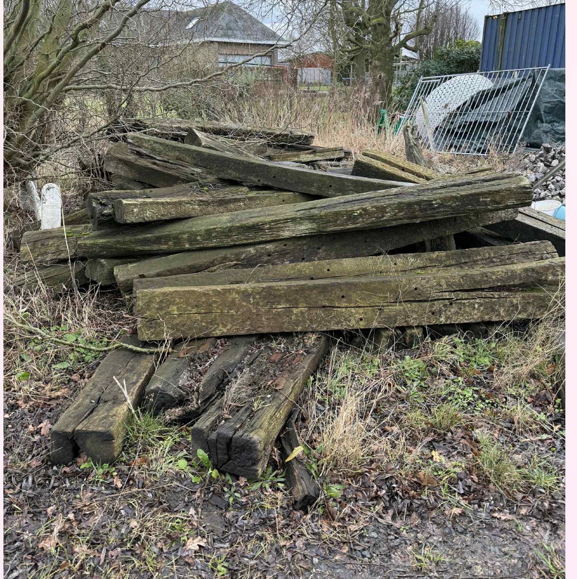 treinbilzen te koop 5 euro per stuk, Ophalen