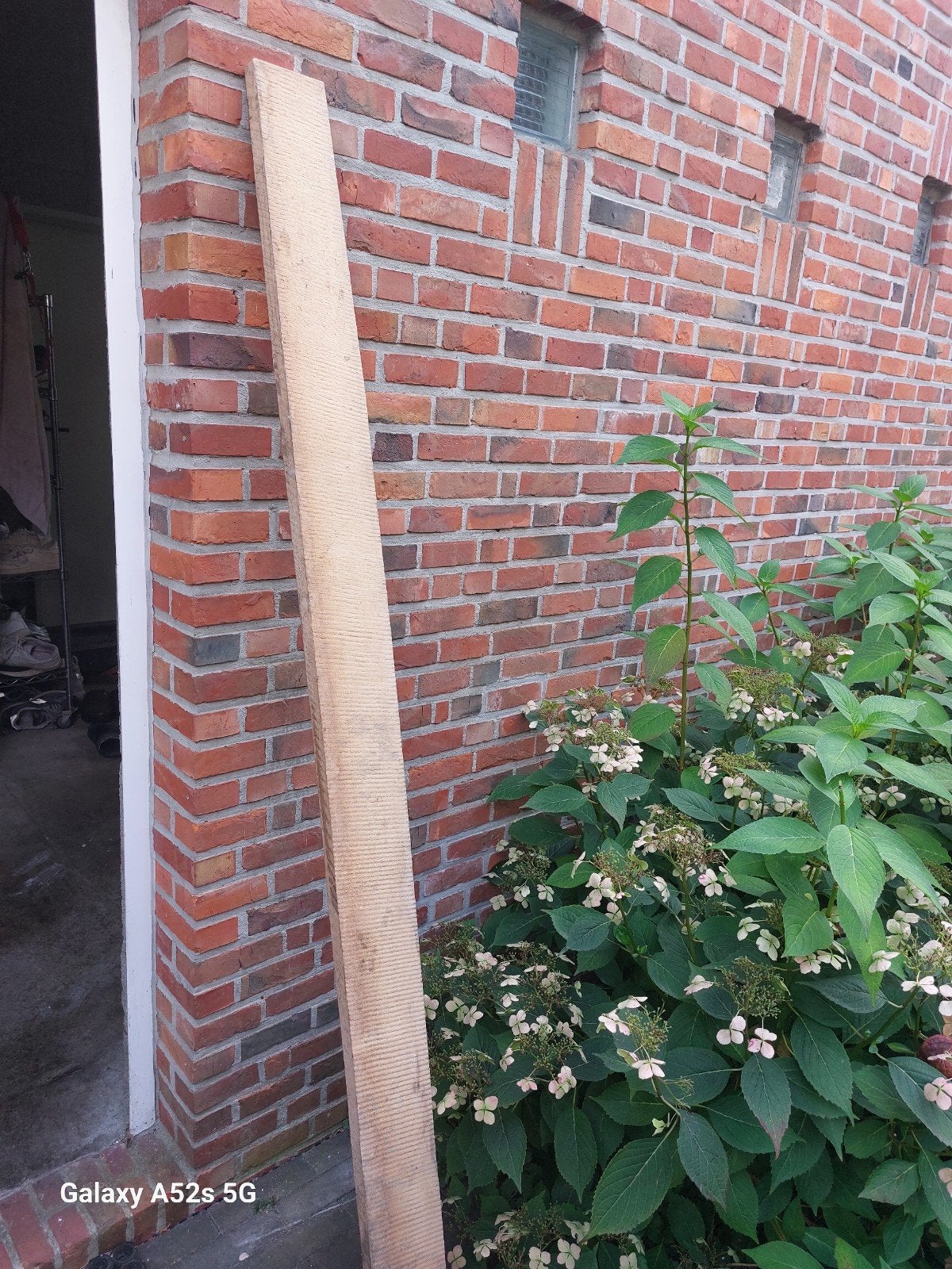 esdoorn plank, Ophalen