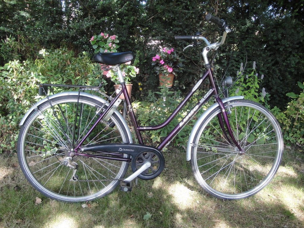 Damesfiets Ludo, Fietsen en Brommers, 47 tot 50 cm, Ophalen, Gebruikt, Versnellingen