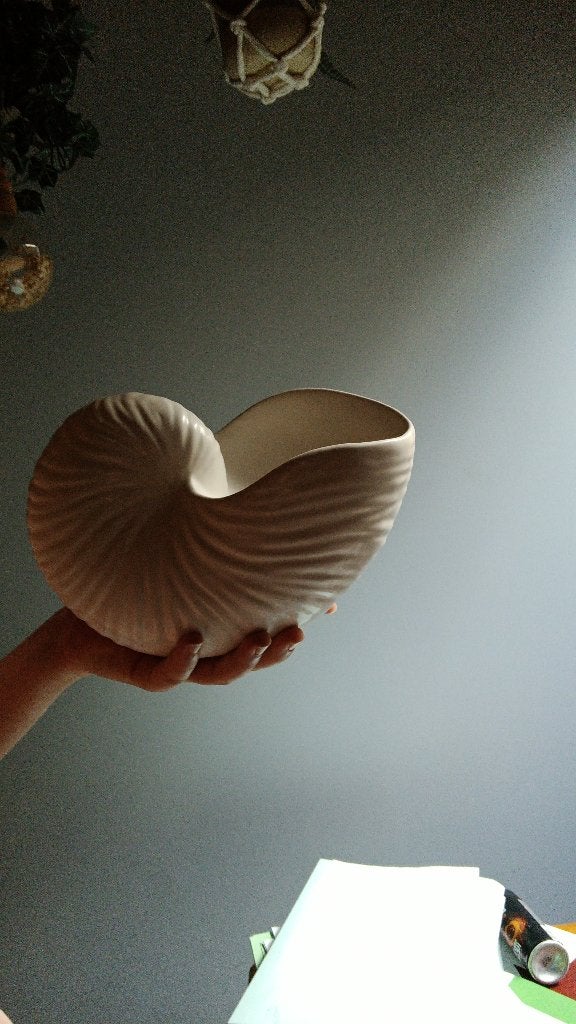 Jolis bijoux ou porte-savon, coquillage, Enlèvement