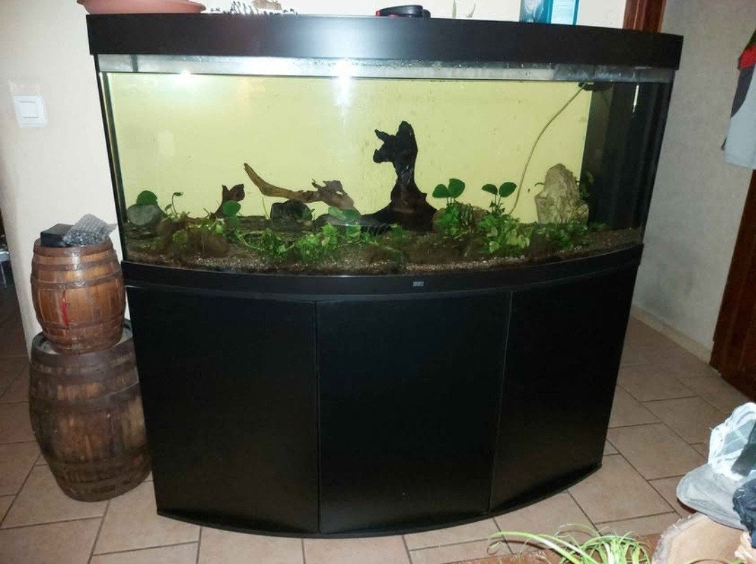 aquarium juwel vision 450, Dieren en Toebehoren, Ophalen, Pomp, Zo goed als nieuw, Juwel