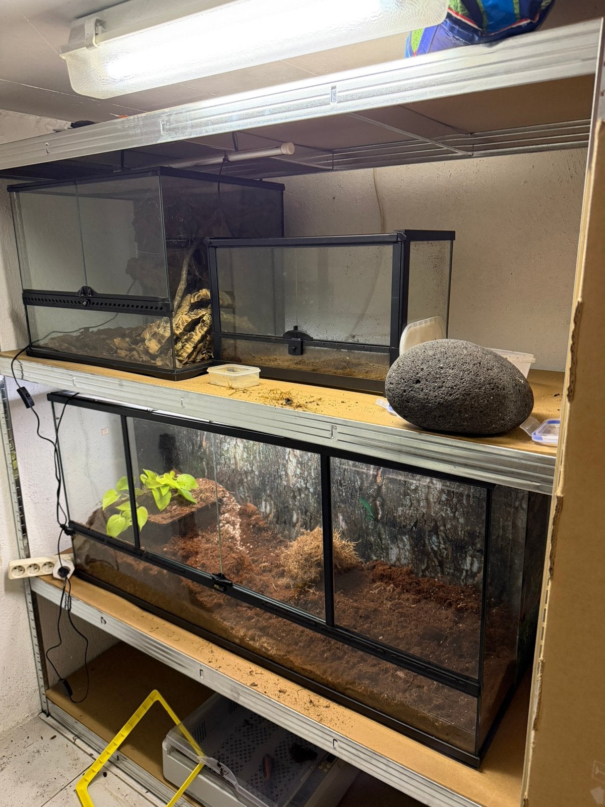 Terrariums te koop, Ophalen, Zo goed als nieuw, Terrarium of Paludarium