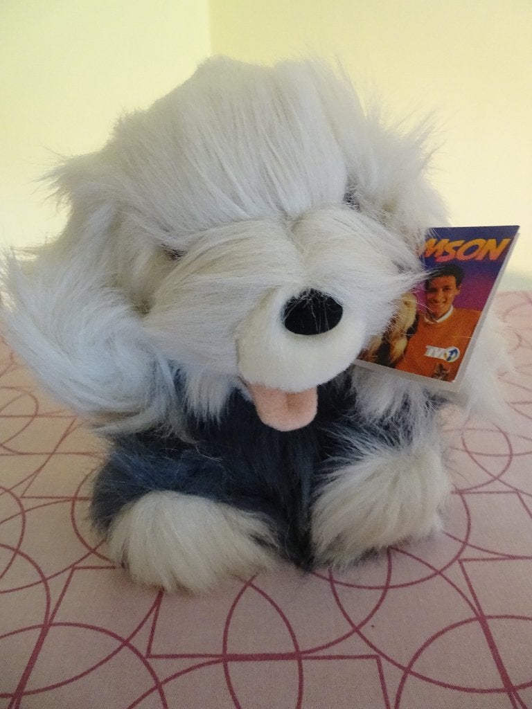 De Echte SAMSON Beer., Verzamelen, Beren en Cherished Teddies, Ophalen of Verzenden, Nieuw