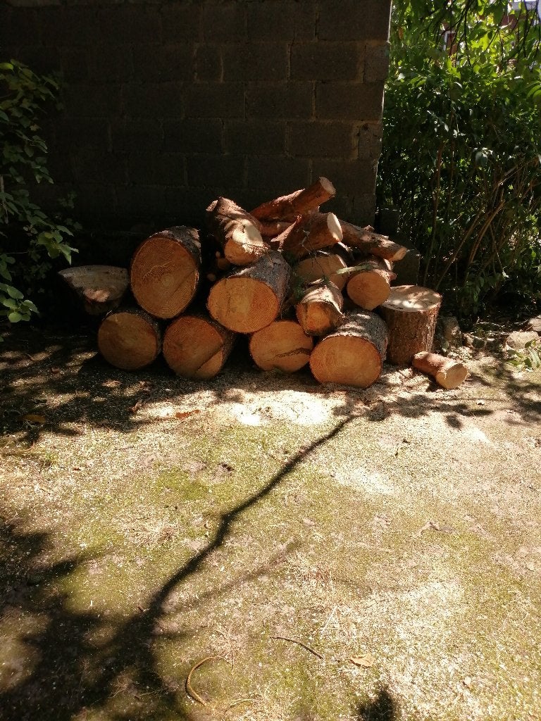 Bois de chauffage et copeaux de bois, Enlèvement