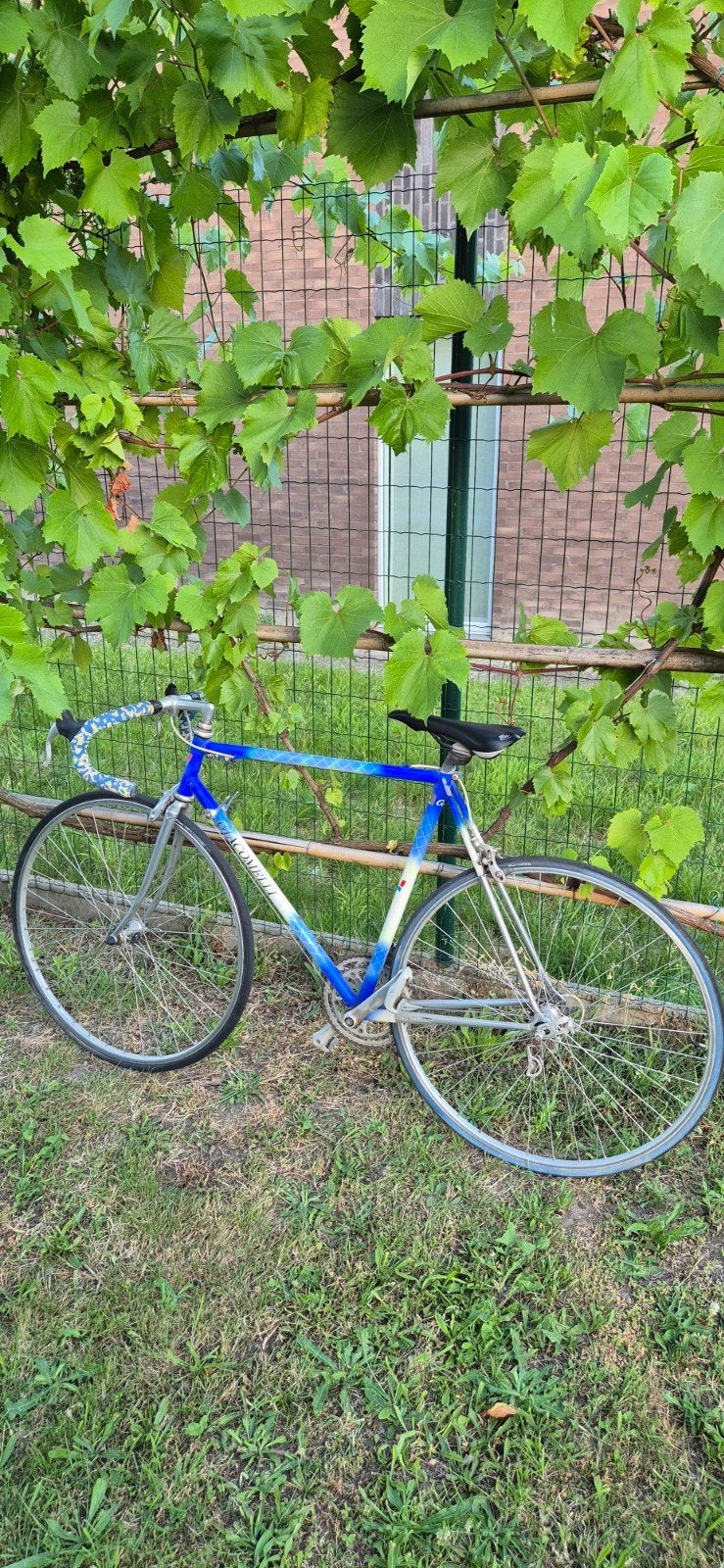Vélo italien vintage à vendre, Vélos & Vélomoteurs, Vélos | Hommes | Vélos de sport & Vélo de randonnée, Autres marques, Frein sur jante