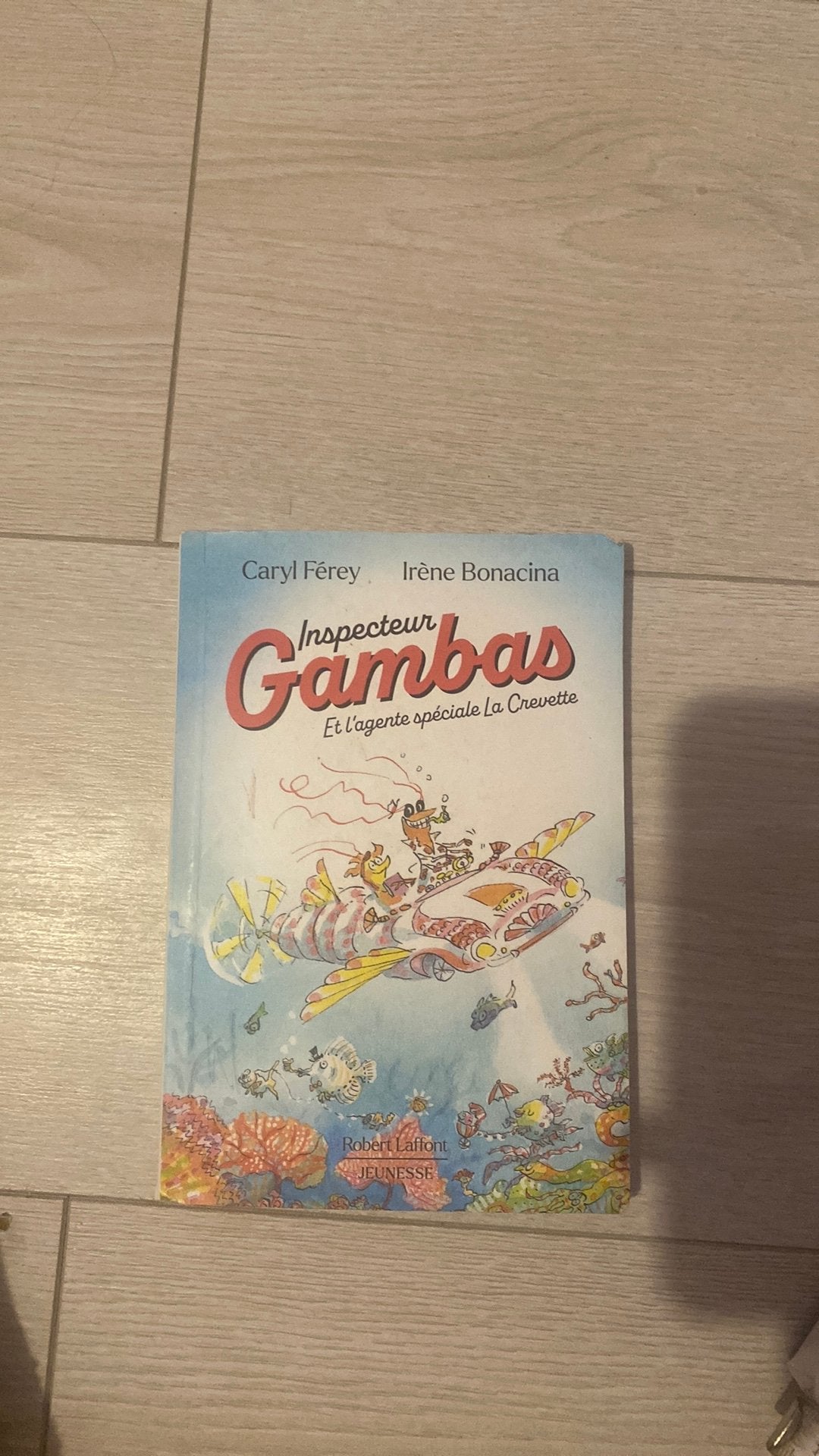 9782221266267, Enlèvement