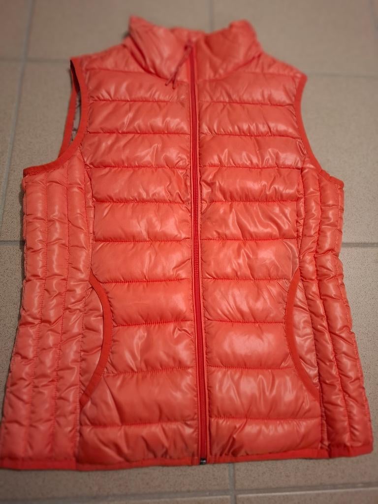 QS veste sans manche doudoune saumon S, Neuf, Enlèvement ou Envoi, Autres couleurs, Taille 36 (S)