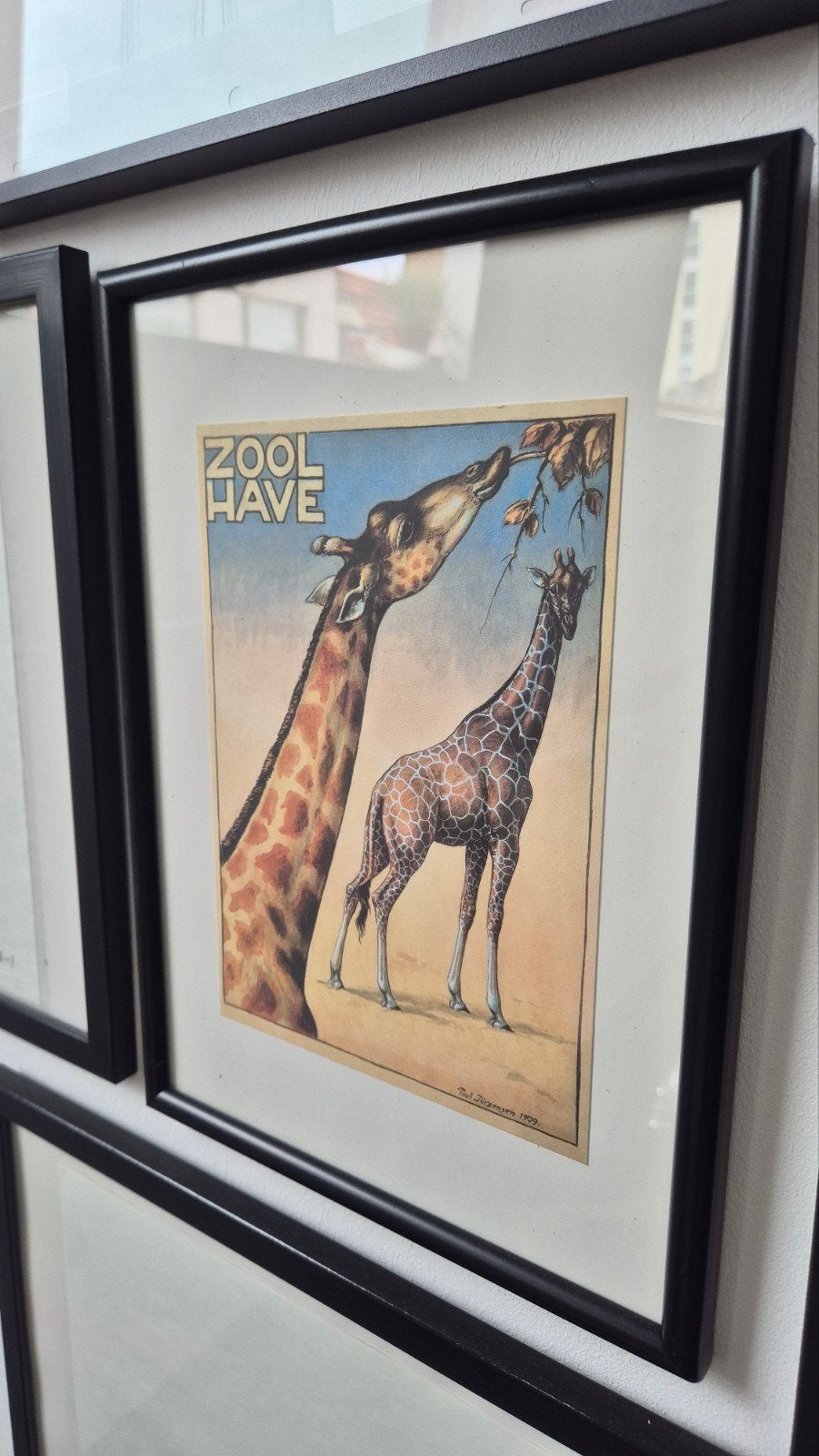 Zoo posters met kader 20 jaar oud., Ophalen