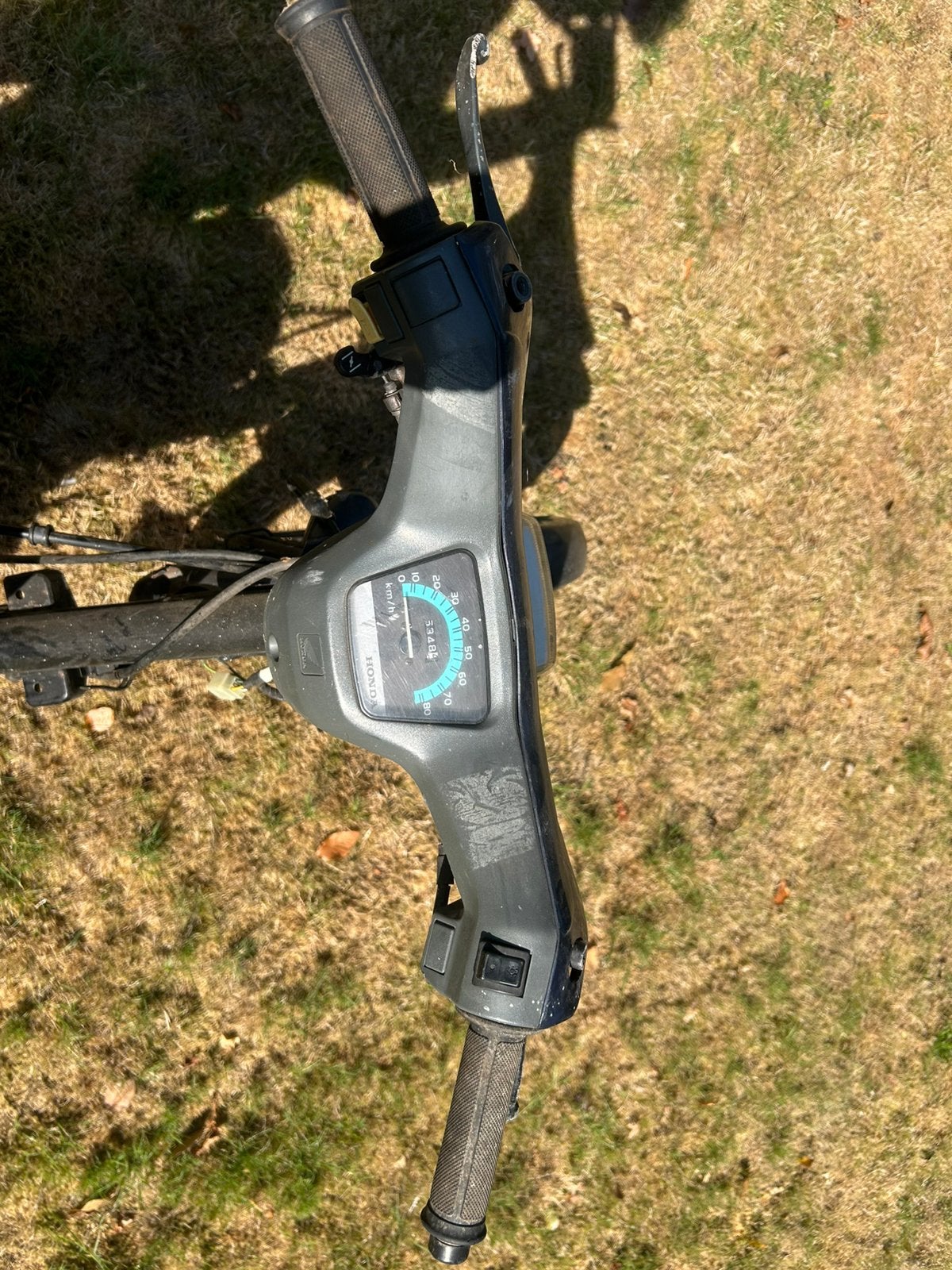 Honda wallaroo, Ophalen, Honda