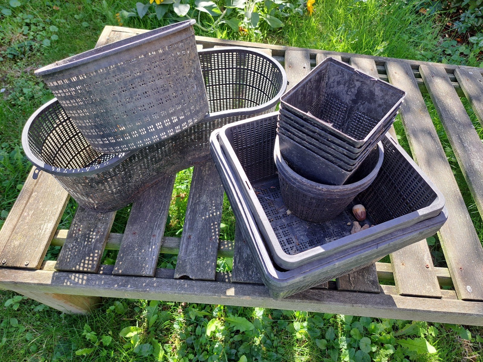 plantenmandjes voor in vijver, Jardin & Terrasse, Enlèvement, Utilisé, Plateau d'étang