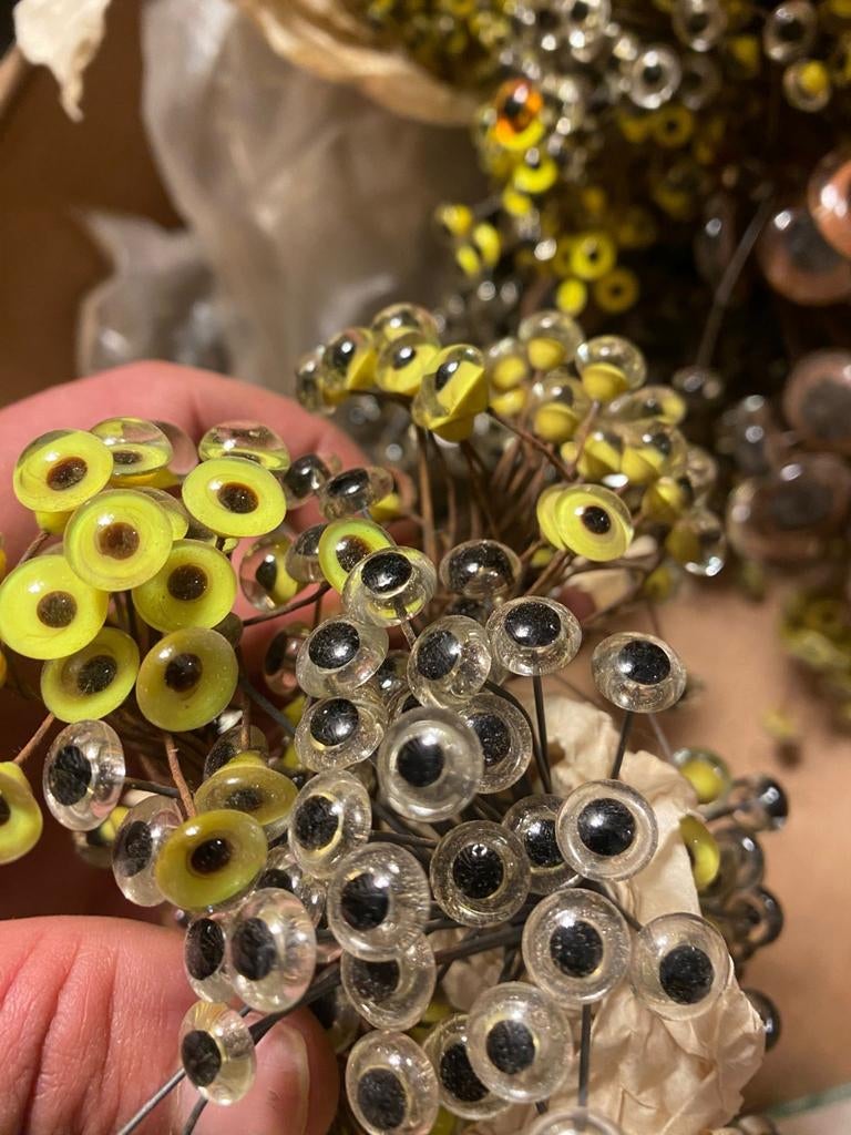 “Eyes of stuffed animals”, Dieren en Toebehoren, Katten-accessoires, Nieuw