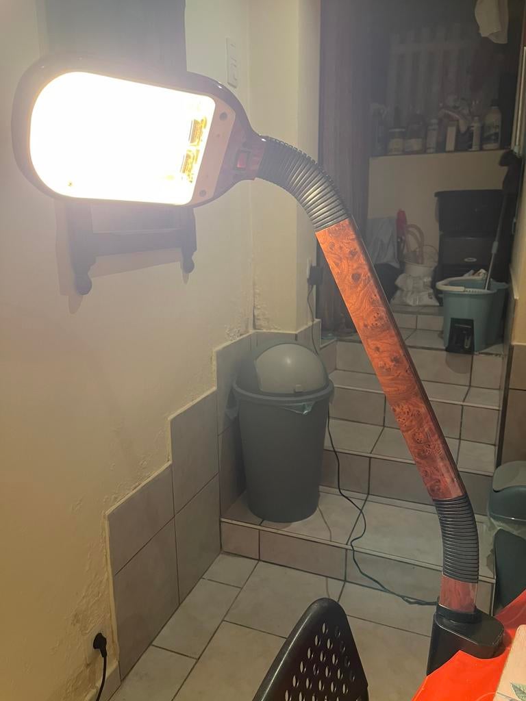 Un Cobra bien dressé qui apportera de la lumière à votre vie, Maison & Meubles, 75 cm ou plus, Cobra, Enlèvement ou Envoi, Utilisé