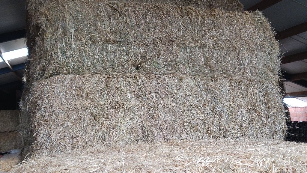Grote pakken hooi, Dieren en Toebehoren, Ophalen, Overige soorten