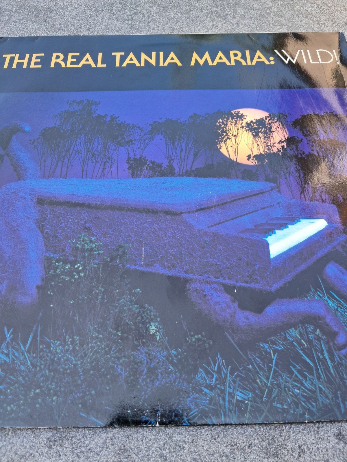 Lp Tania Maria, Cd's en Dvd's, Vinyl | Jazz en Blues, LP, Gebruikt, Ophalen of Verzenden, 12 inch