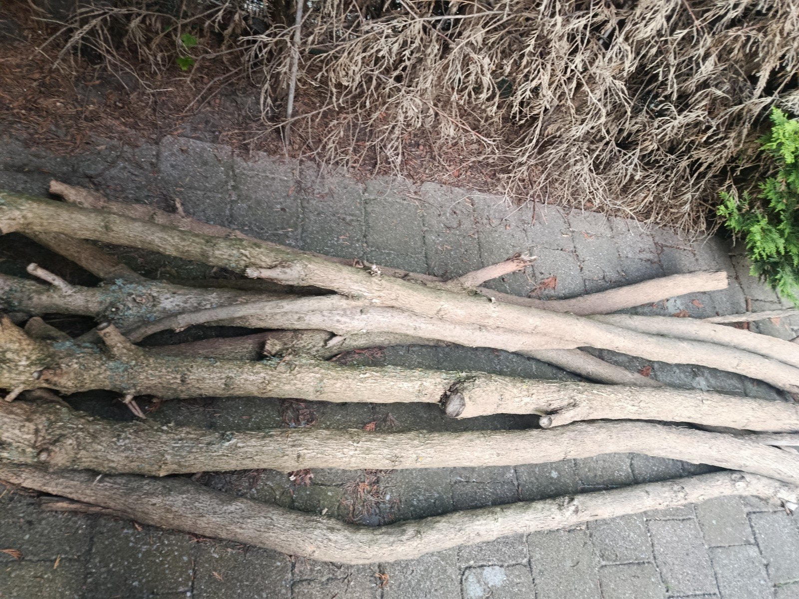 Hout, Doe-het-zelf en Bouw, Ophalen