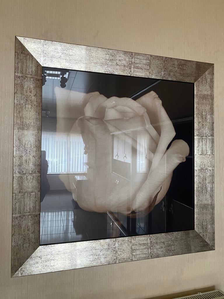KADER ROOS 88x88 cm, Huis en Inrichting, Ophalen, Zo goed als nieuw