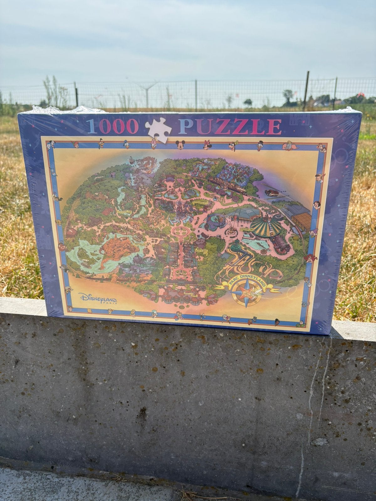 Puzzle disneyland paris, Enlèvement