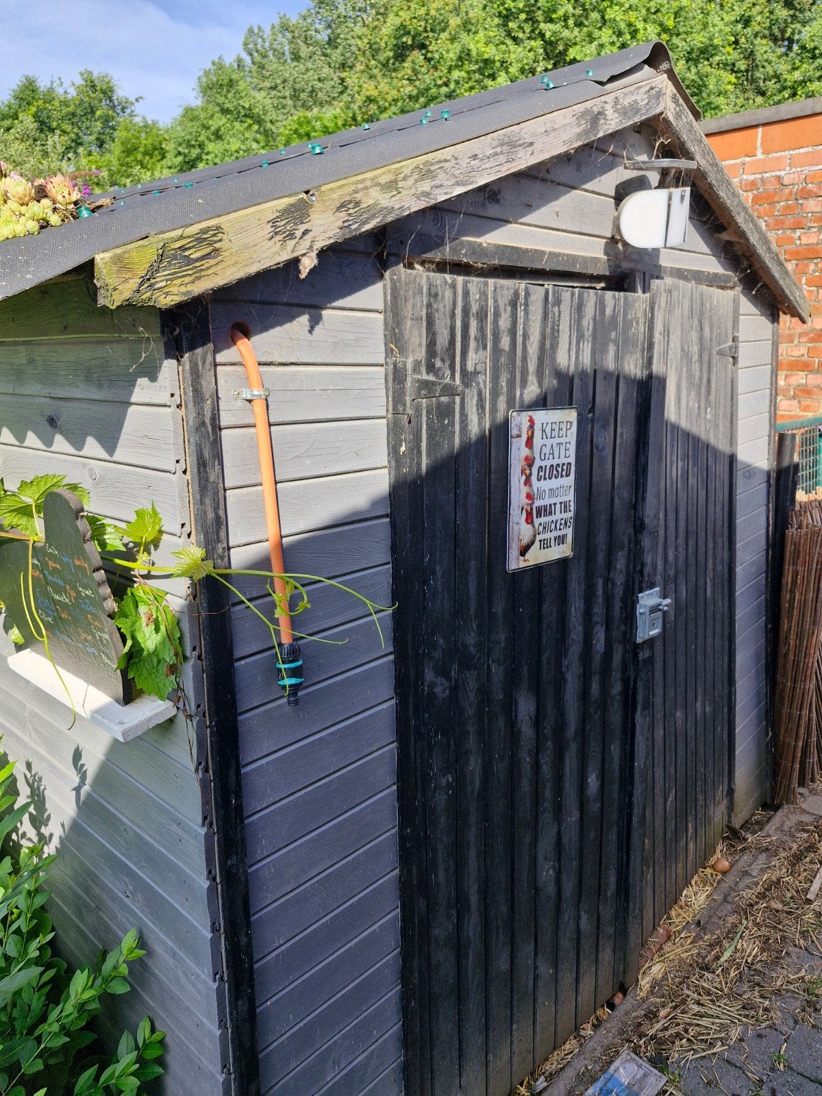 Kippenhok / tuinhuis 2.3 x 2.3 x 2, Tuin en Terras, Ophalen, Tuinhuis