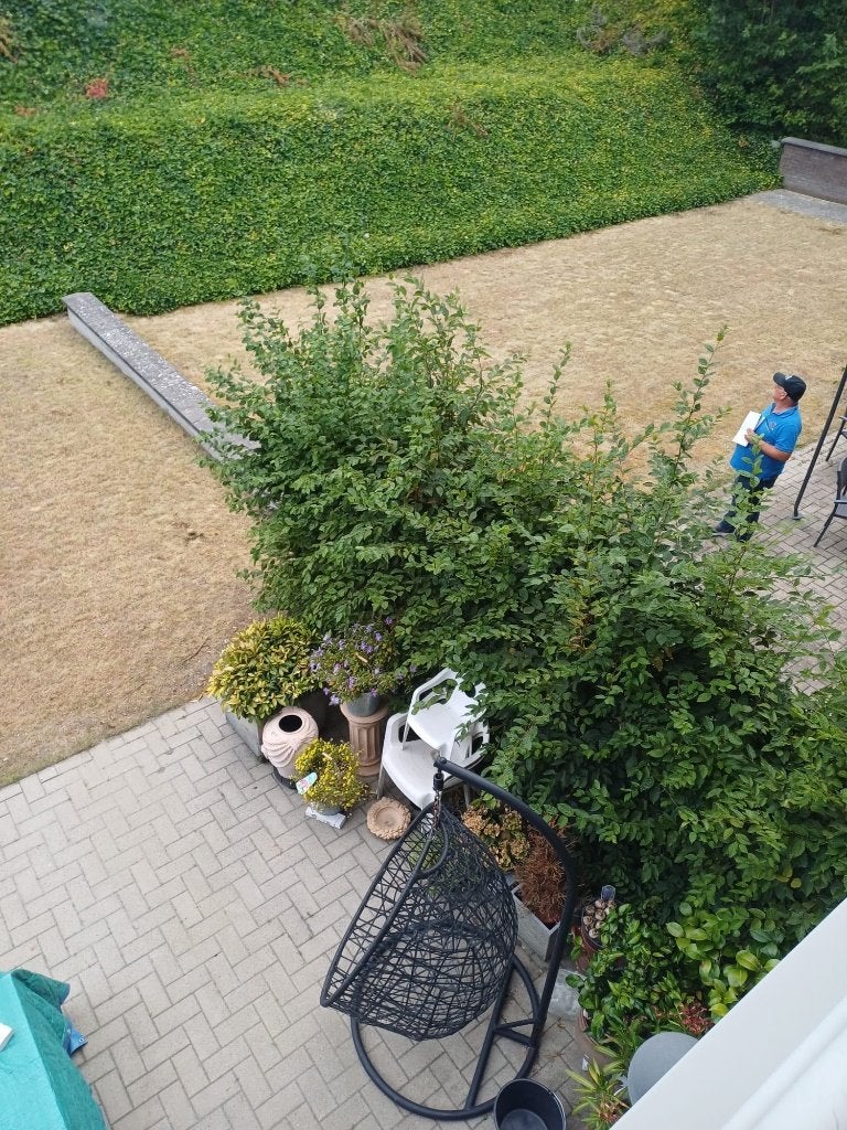 Wij zoeken tuinman/gepensioneerde/persoon - beperkte tuin, Ophalen of Verzenden