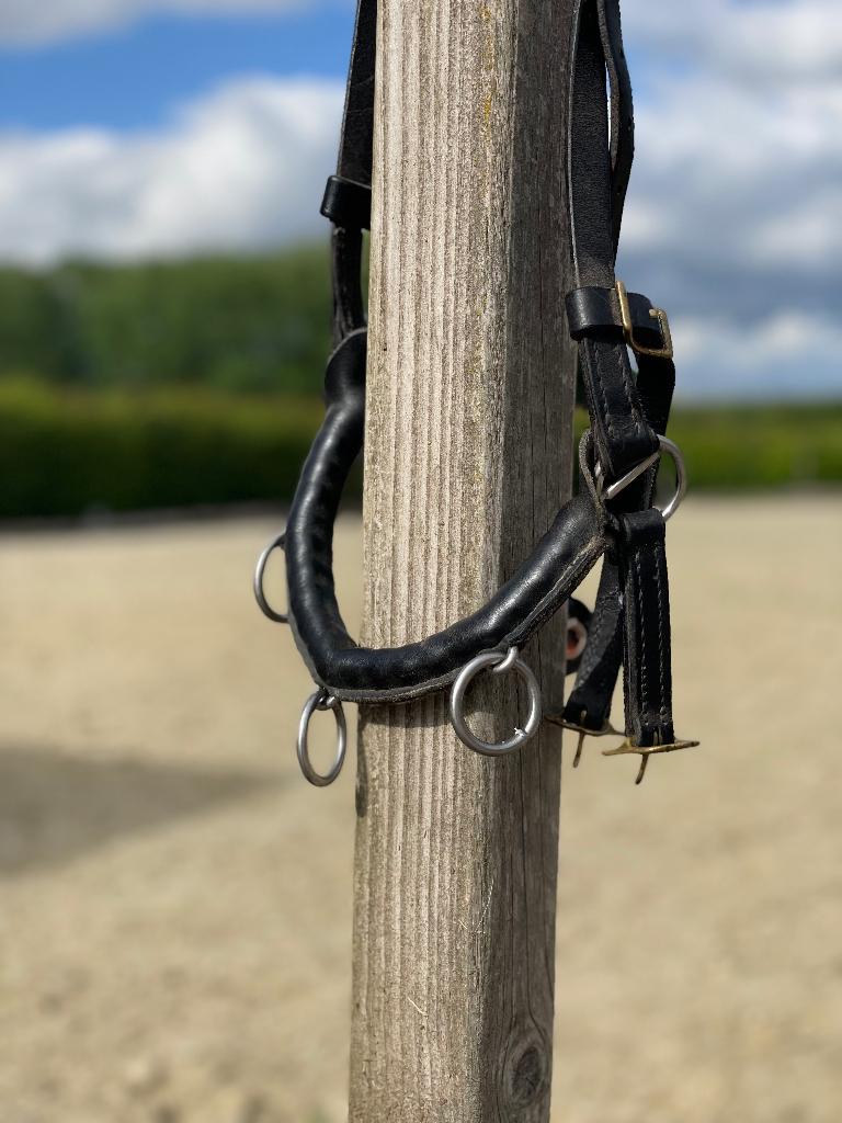 Kaptoom, Dieren en Toebehoren, Ophalen, Gebruikt