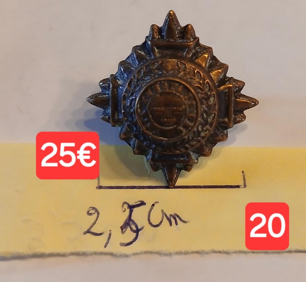 Insigne de col WWII Royal Canadian Regiment PRO PATRIA, Verzamelen, Ophalen of Verzenden, Gebruikt, Overige onderwerpen, Speldje of Pin