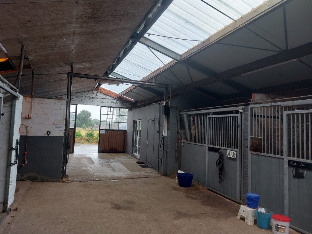 Stalling met weide, Dieren en Toebehoren, Stalling, 1 paard of pony