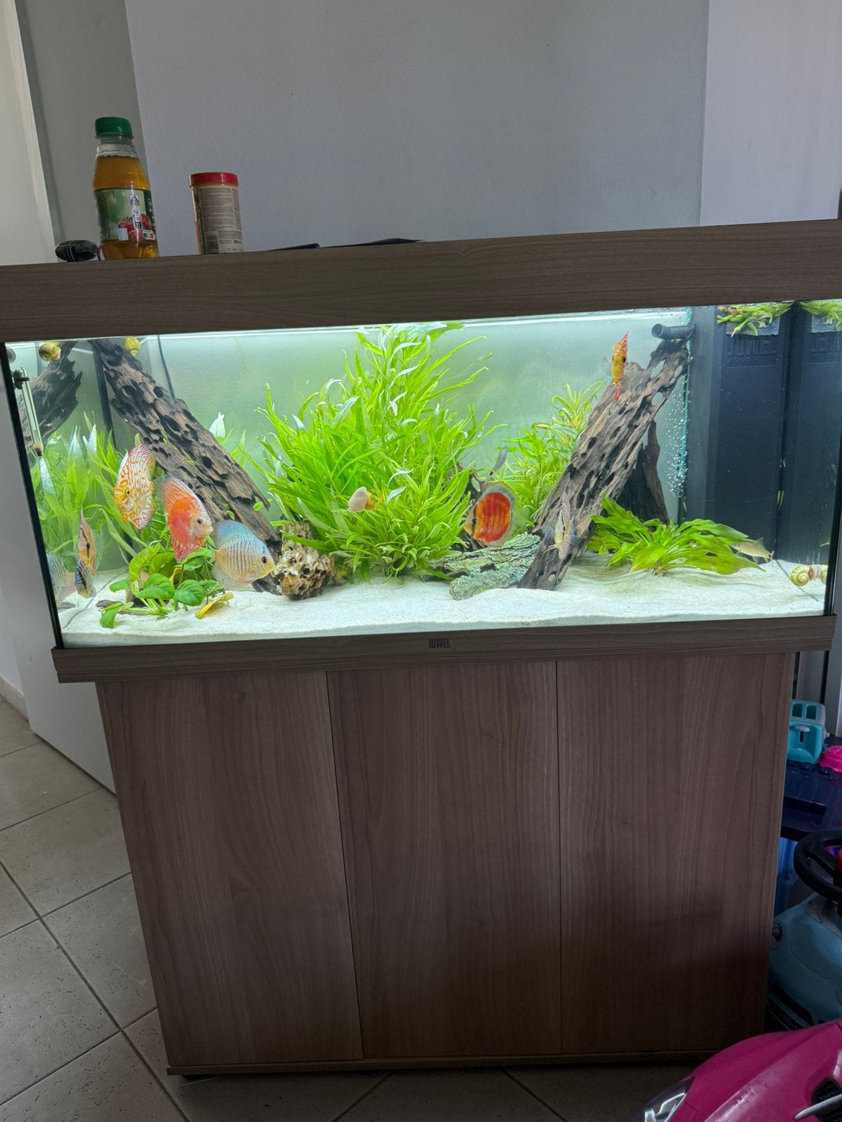 Aquarium juwel 180, Enlèvement, Chauffage, Decoratie, Juwel