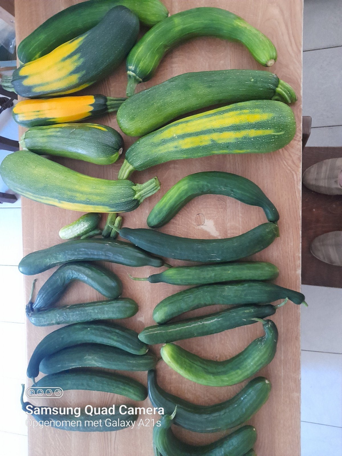 Aardappelen,  komkommers ,Courgettes te koop, Ophalen