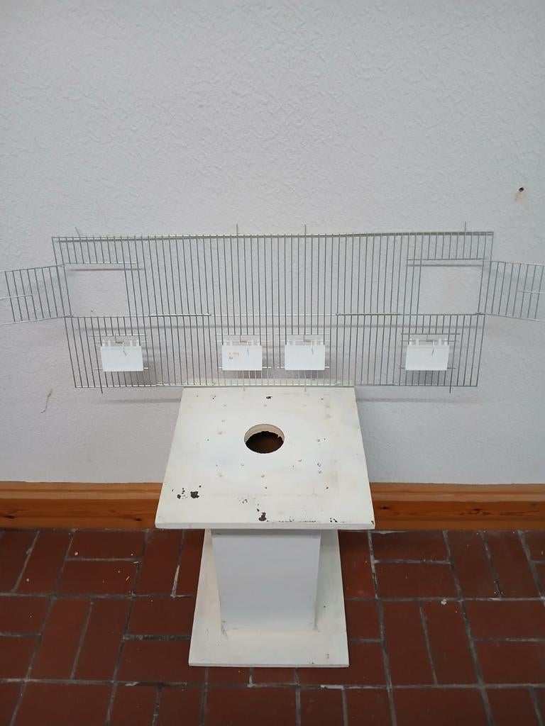 Voorfront nieuw, Enlèvement