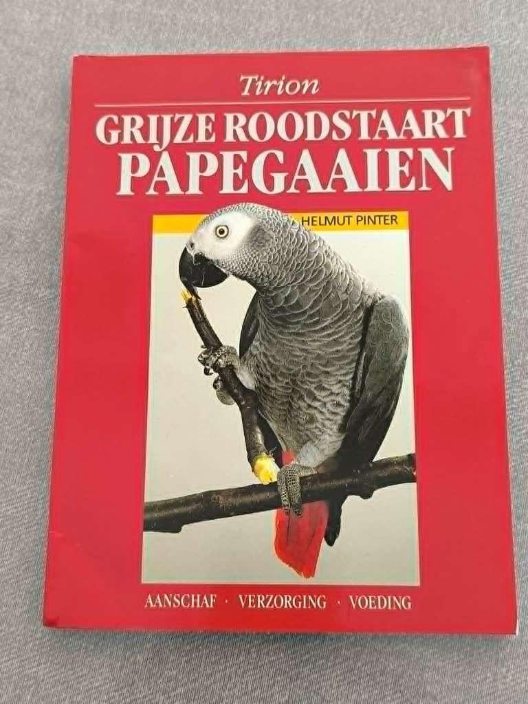 de grijze roodstaartpapegaai leesboek, Papegaai