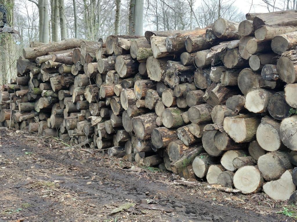 Brandhout 2 jaar 55€/m3, Tuin en Terras, Brandhout, Ophalen of Verzenden, Essenhout, Blokken