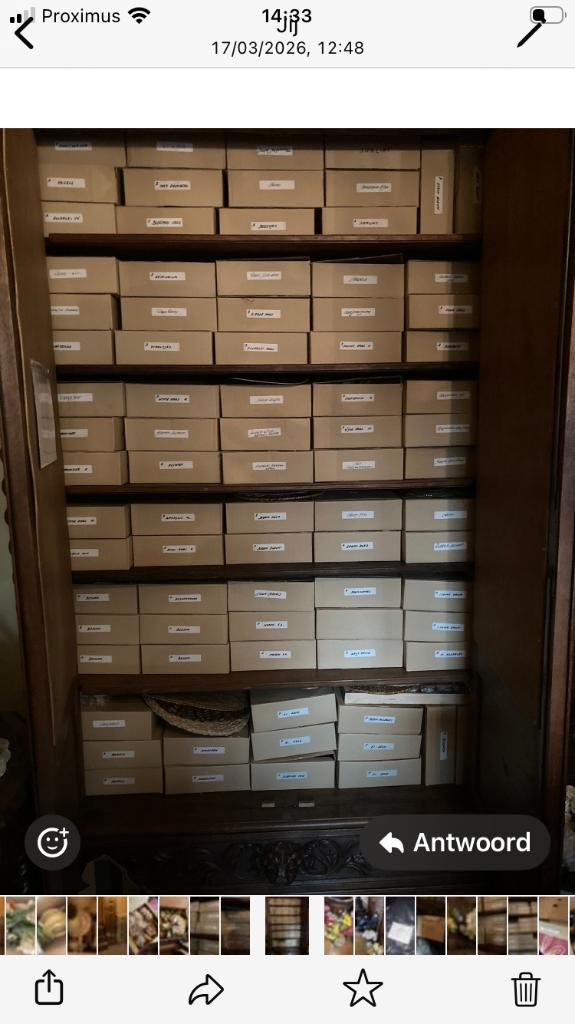 bloemschik gerief bloemen  +-120 dozen, Enlèvement