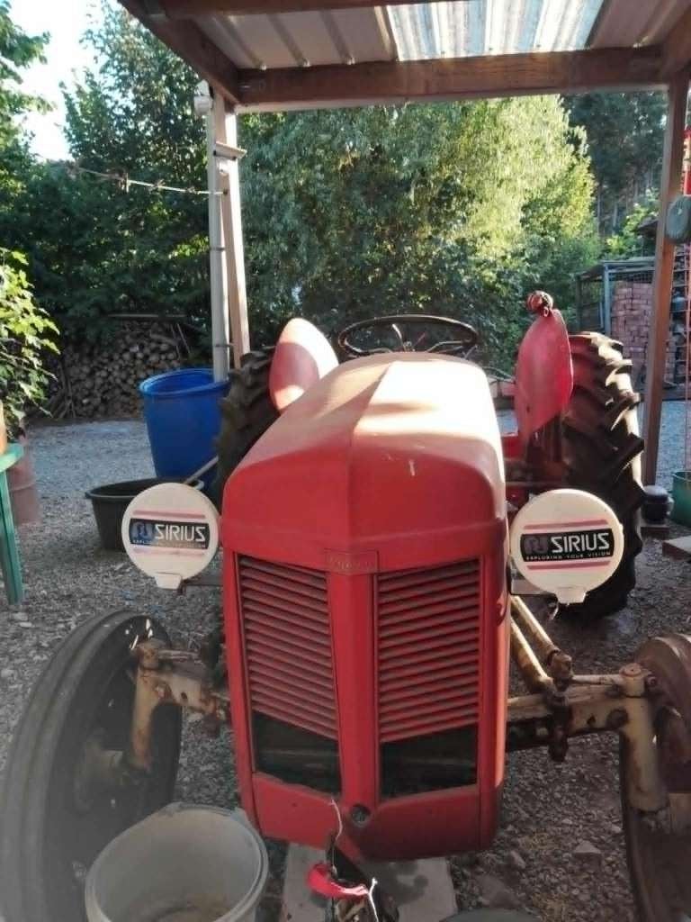 V tracteur Ferguson essence 1951 excellent état, Articles professionnels, Enlèvement, Oldtimer/Ancêtre, Massey Ferguson