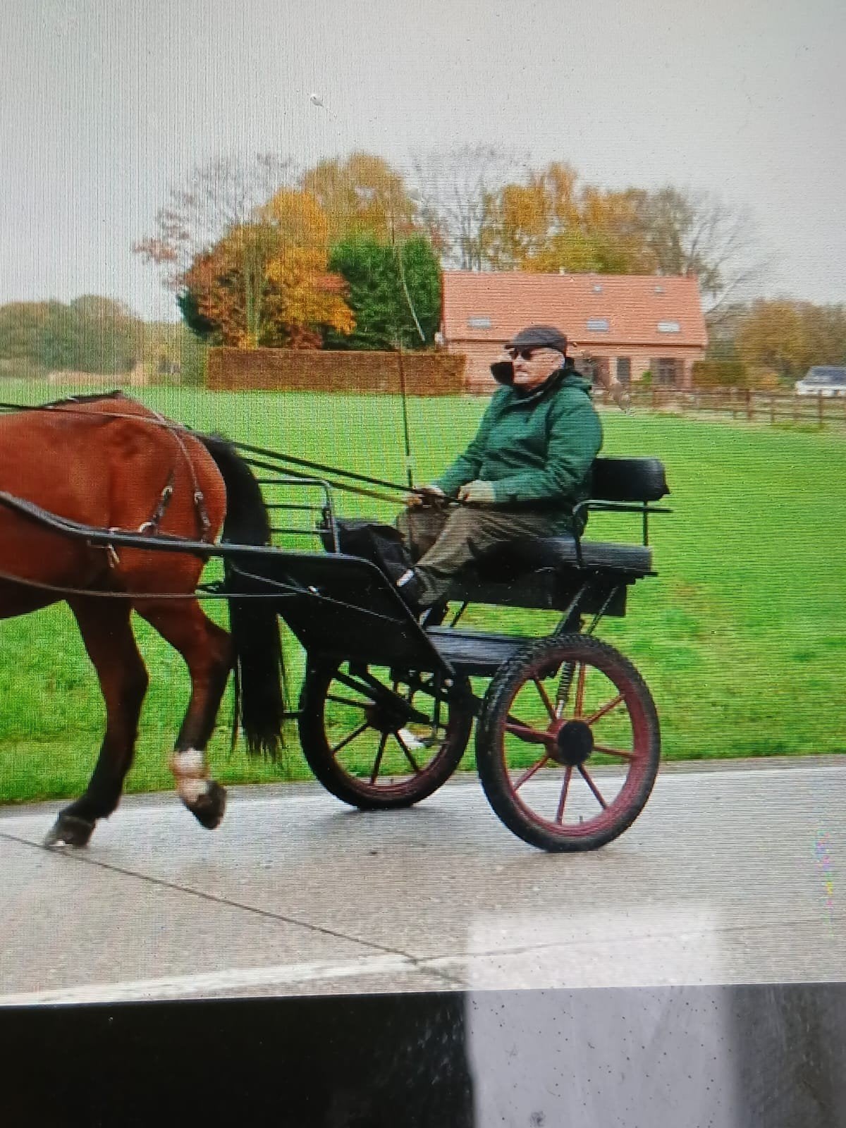 Tweewieler, Gebruikt, Overige typen, Paard