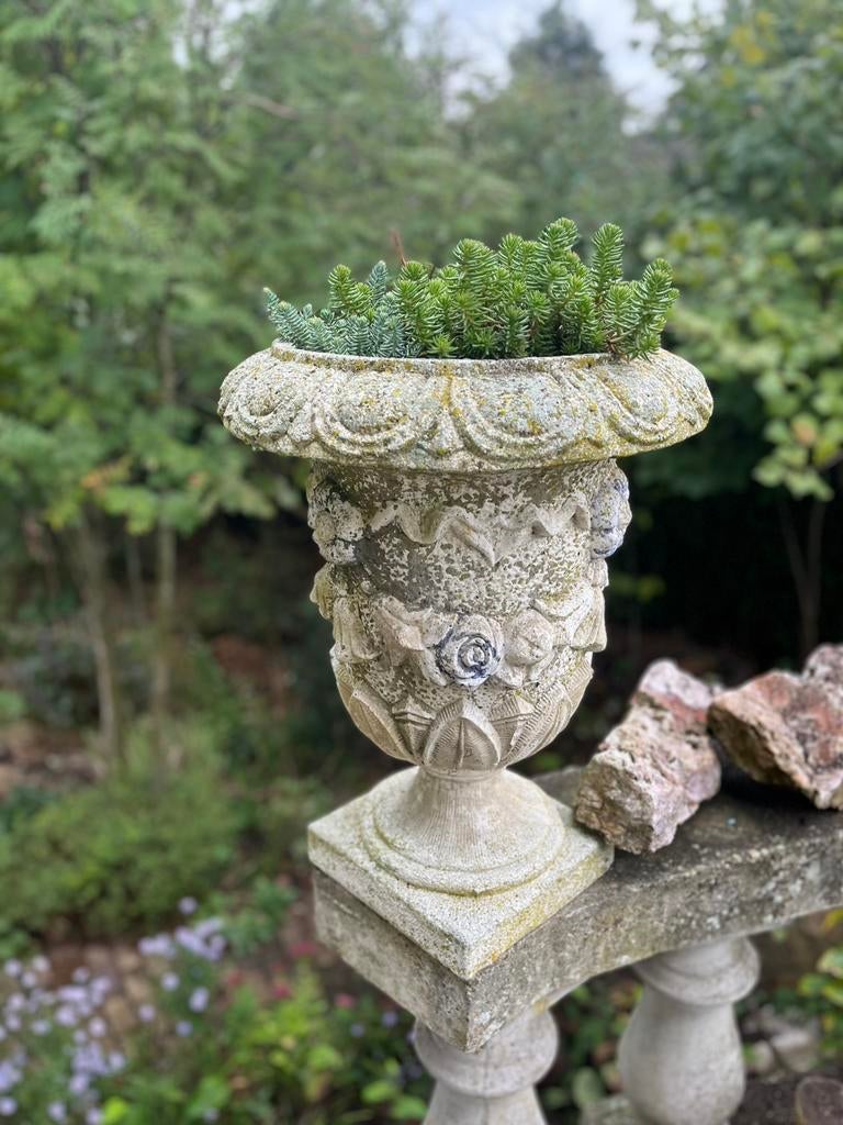 Grote barok bloempot, met vetplantjes! Betonnen tuinvaas, Tuin en Terras, Ophalen, Zo goed als nieuw