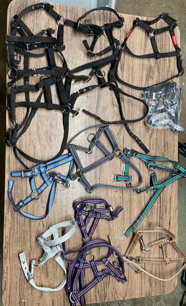 14 stuks veulenhalsters, Ophalen, Nieuw