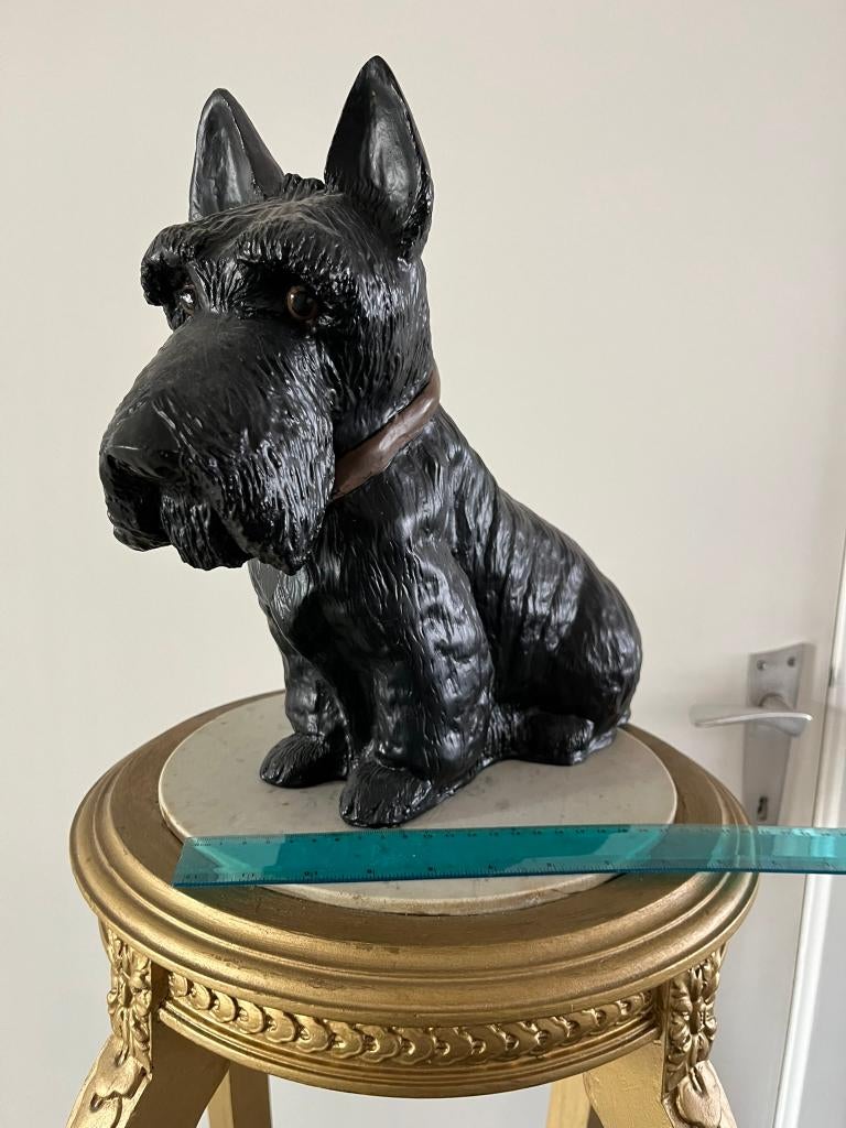 Beeld Schotse Terriër - Scottish Terrier in kunststof, Verzamelen, Beelden en Beeldjes, Zo goed als nieuw, Dier, Ophalen of Verzenden