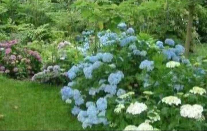 Jardin, Enlèvement