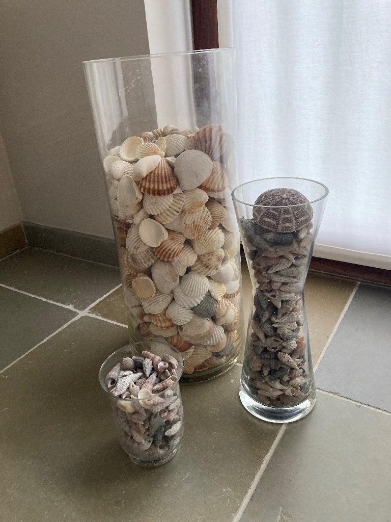 Schelpen, Ophalen, Schelp(en)