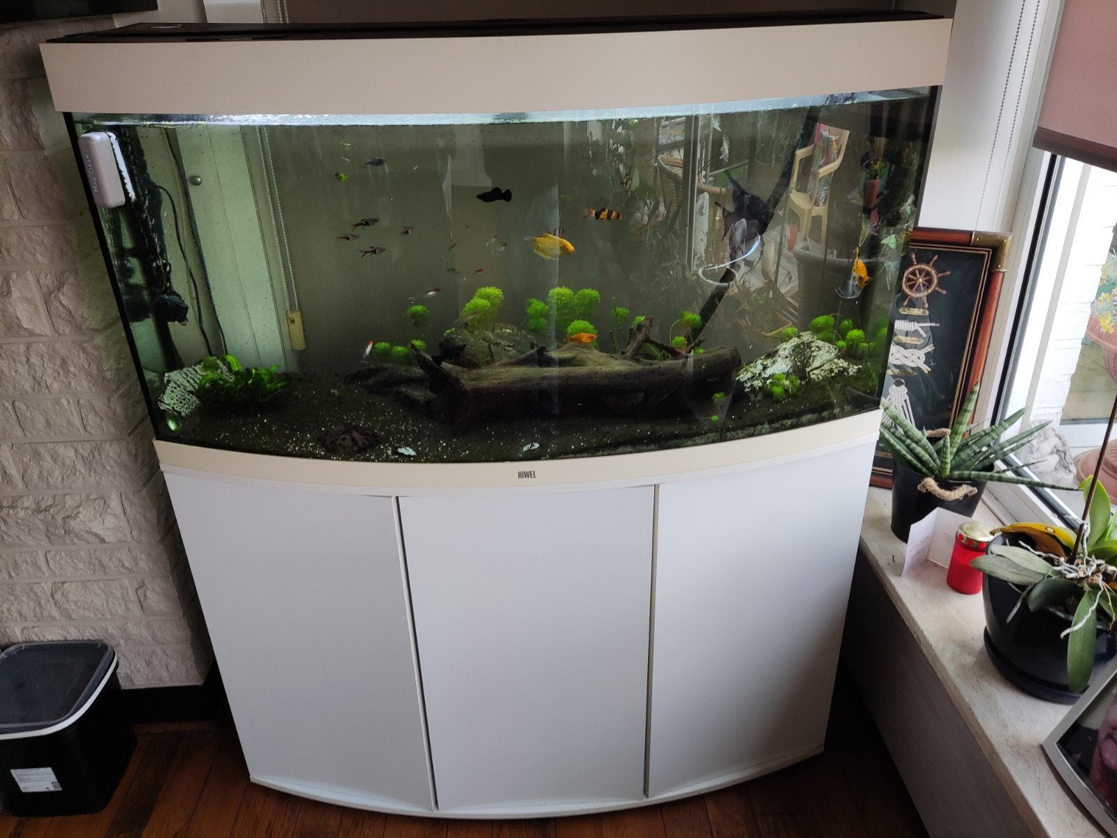 aquarium met vissen en filter en pomp zeer goede staat, Ophalen, Pomp, Filter
