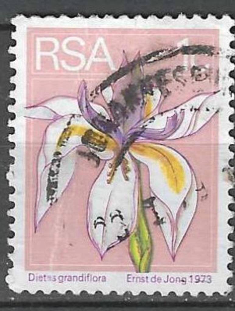 Afrique du Sud 1974 - Yvert 359 - The Big Wild Iris (ST), Envoi, Afrique du Sud, Affranchi