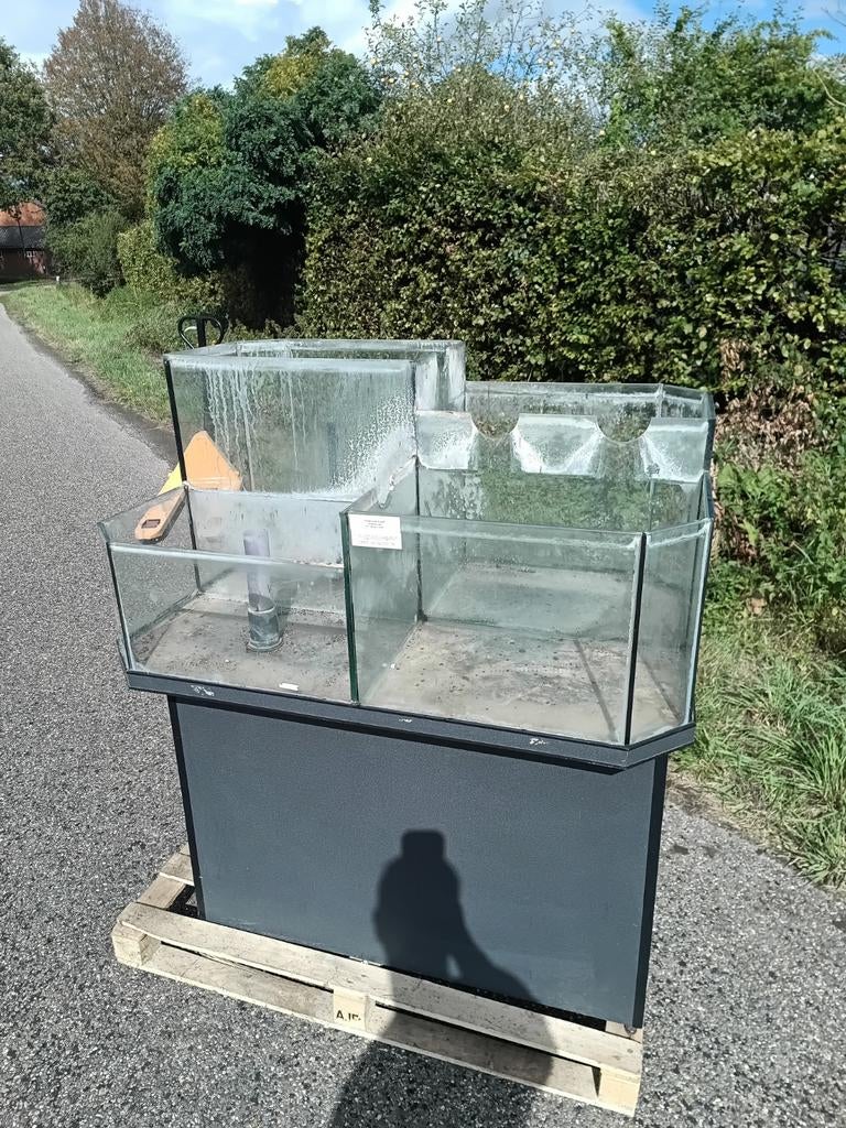 Eiland aquarium opgedeeld in 4 dmv overloop, vissen, koralen, Animaux & Accessoires, Poissons | Aquariums & Accessoires, Utilisé
