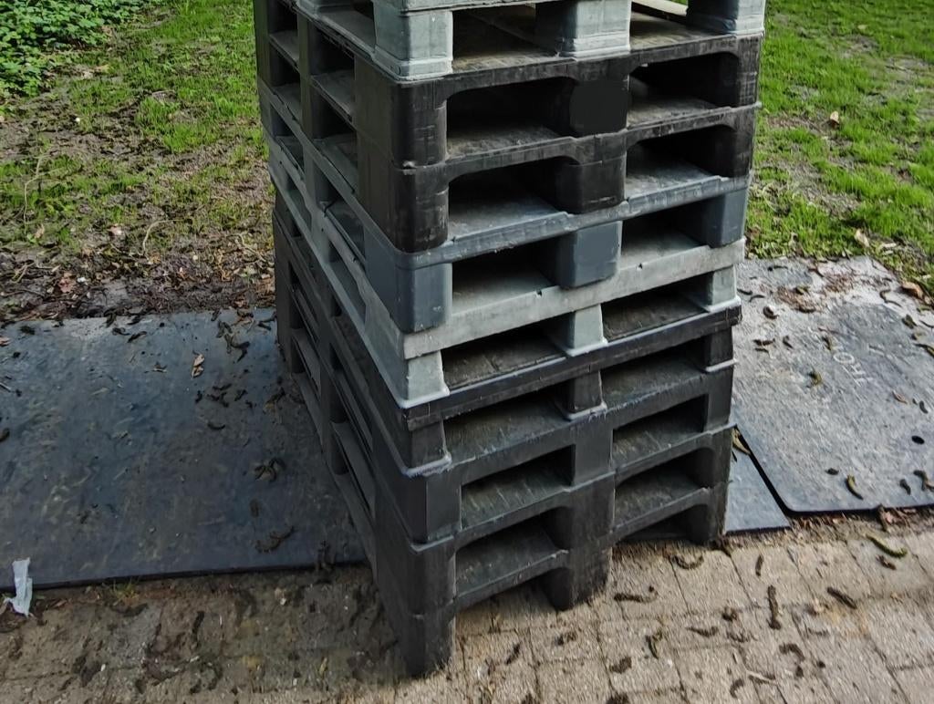 6 kunststof paletten mix met gesloten dek, Ophalen, Gebruikt
