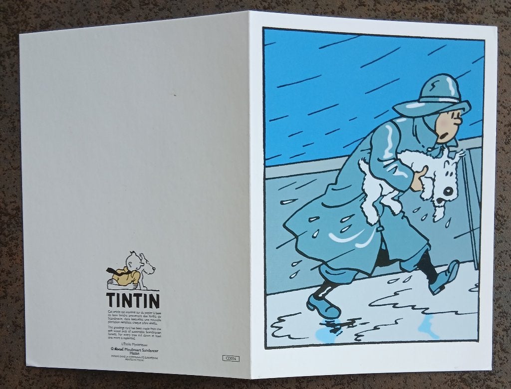 Carte double Tintin, Enlèvement