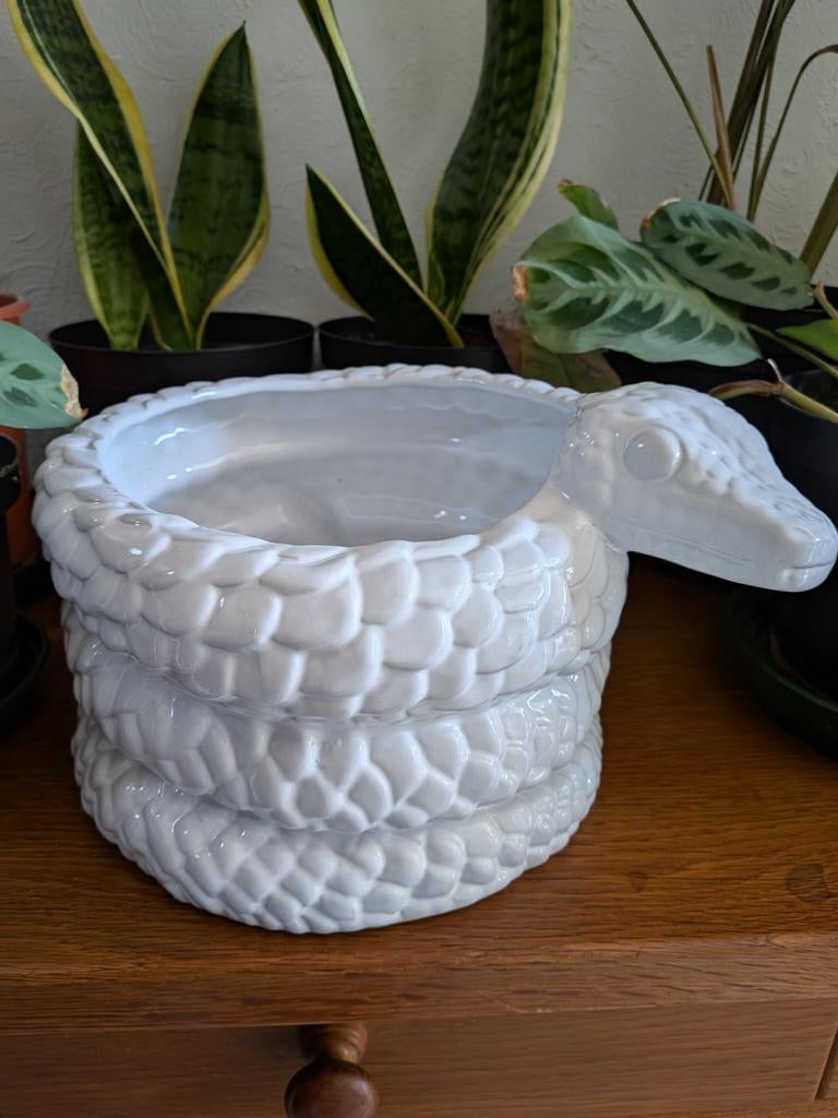 Vintage cache pot slang, Ophalen of Verzenden